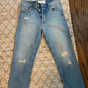 Mother the tomcat Jean